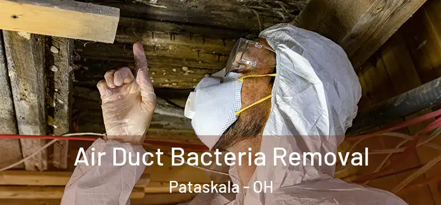 Air Duct Bacteria Removal Pataskala - OH