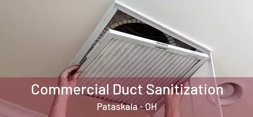  Commercial Duct Sanitization Pataskala - OH