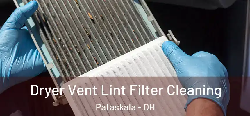 Dryer Vent Lint Filter Cleaning Pataskala - OH