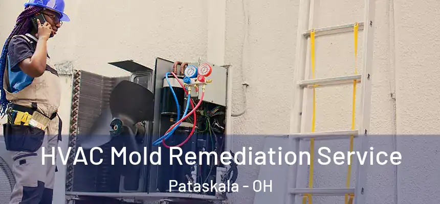 HVAC Mold Remediation Service Pataskala - OH