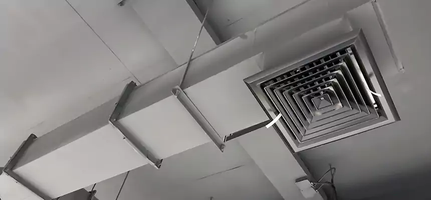 Our Rodent Droppings In Vents Services in Pataskala, OH