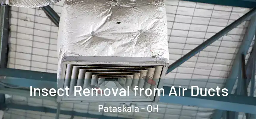 Insect Removal from Air Ducts Pataskala - OH