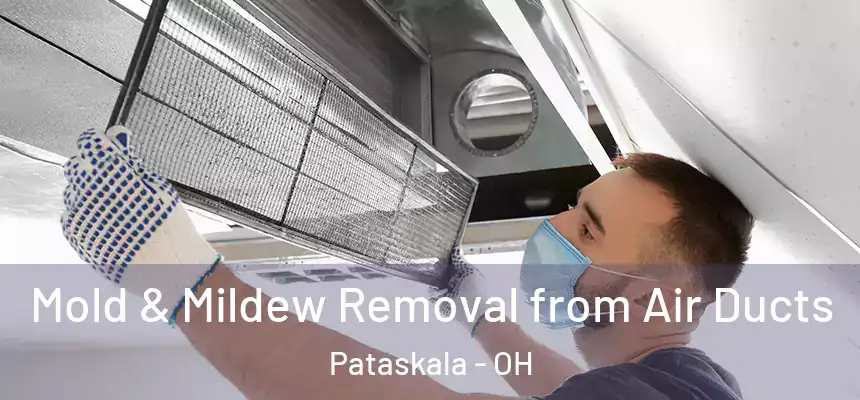 Mold & Mildew Removal from Air Ducts Pataskala - OH