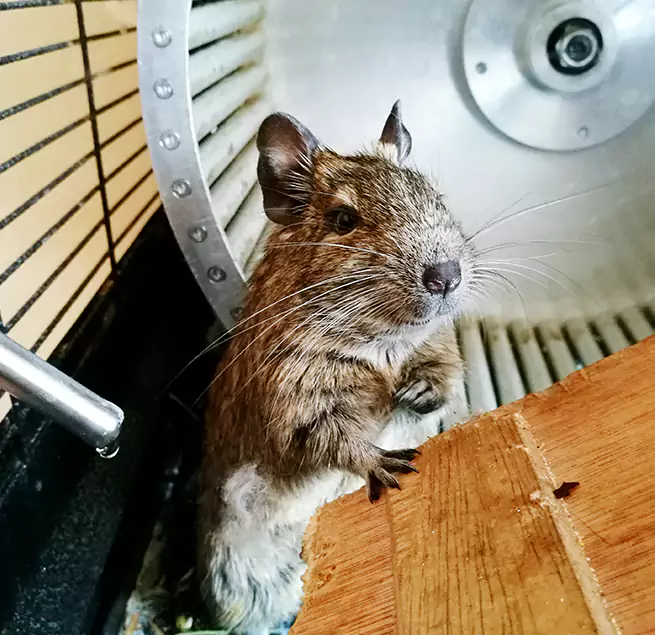 Why Homeowners & Businesses Trust Us Pataskala, OH