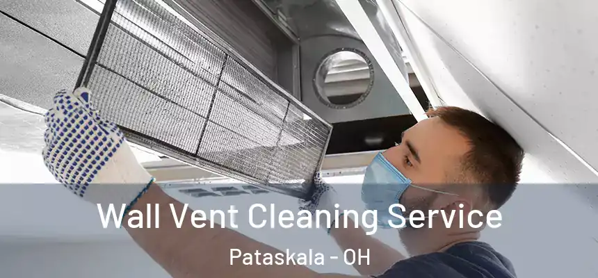 Wall Vent Cleaning Service Pataskala - OH